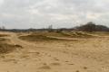 duinen (12)